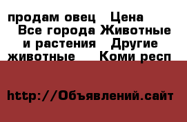  продам овец › Цена ­ 100 - Все города Животные и растения » Другие животные   . Коми респ.
